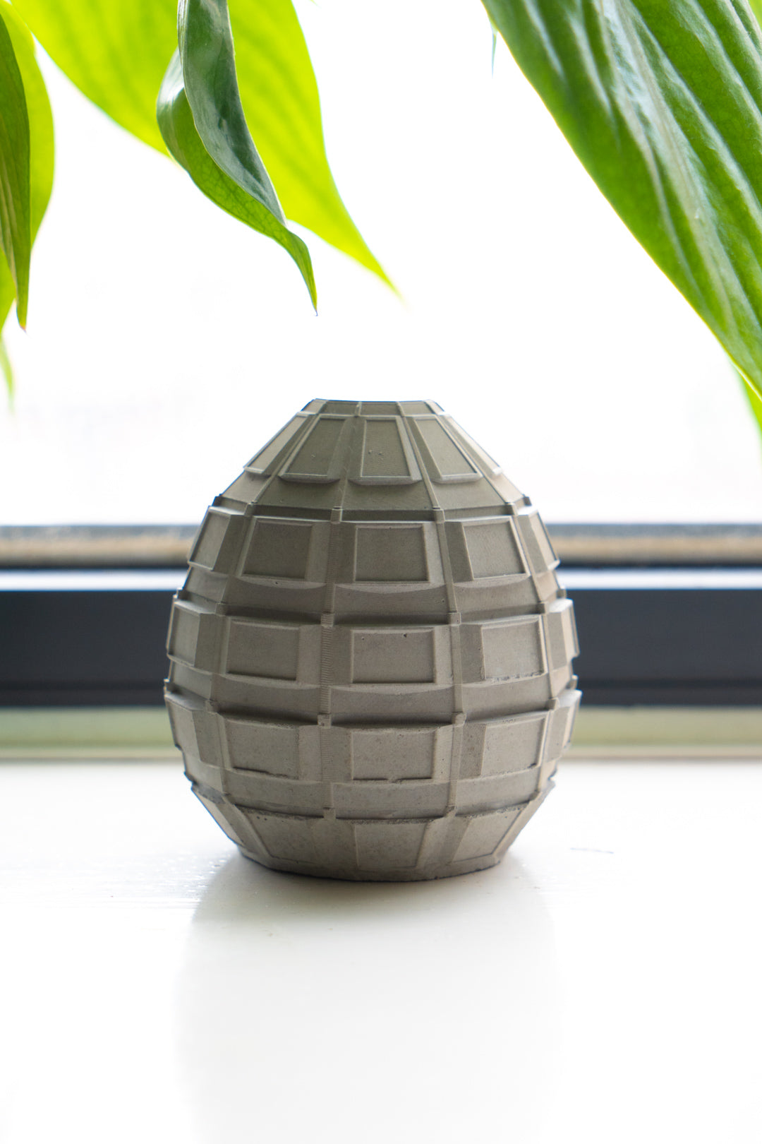 2020 Ashley Building Brutal Egg