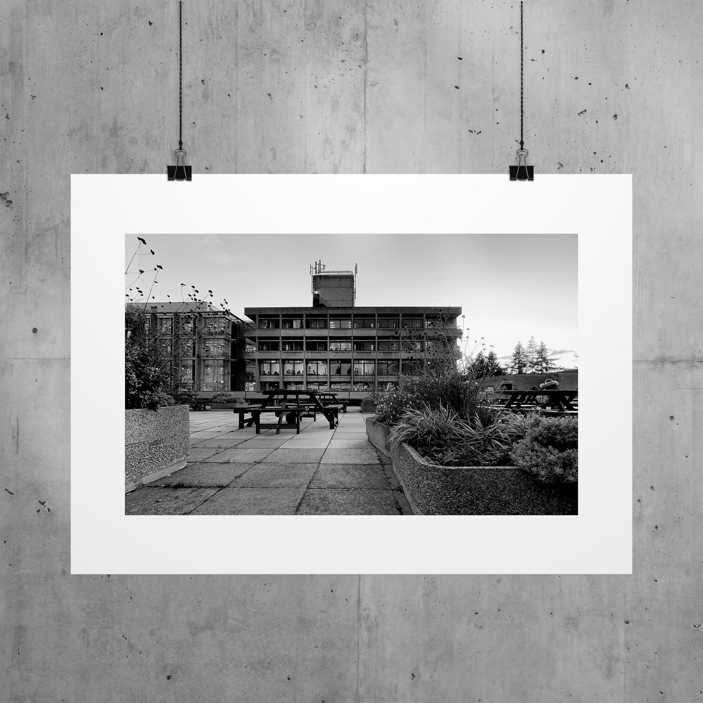 PRINT: UEA Library- Facade