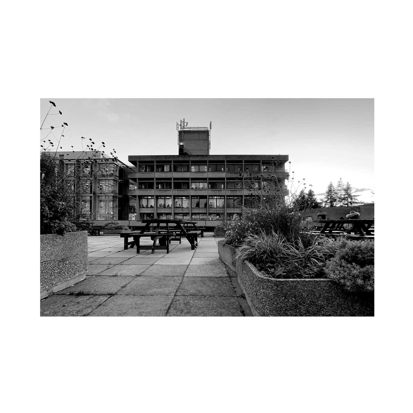 PRINT: UEA Library- Facade